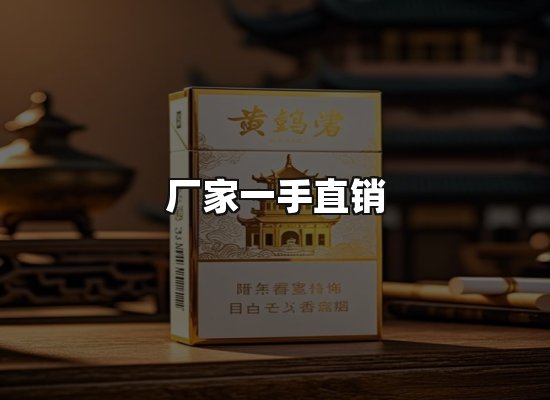 专业优势